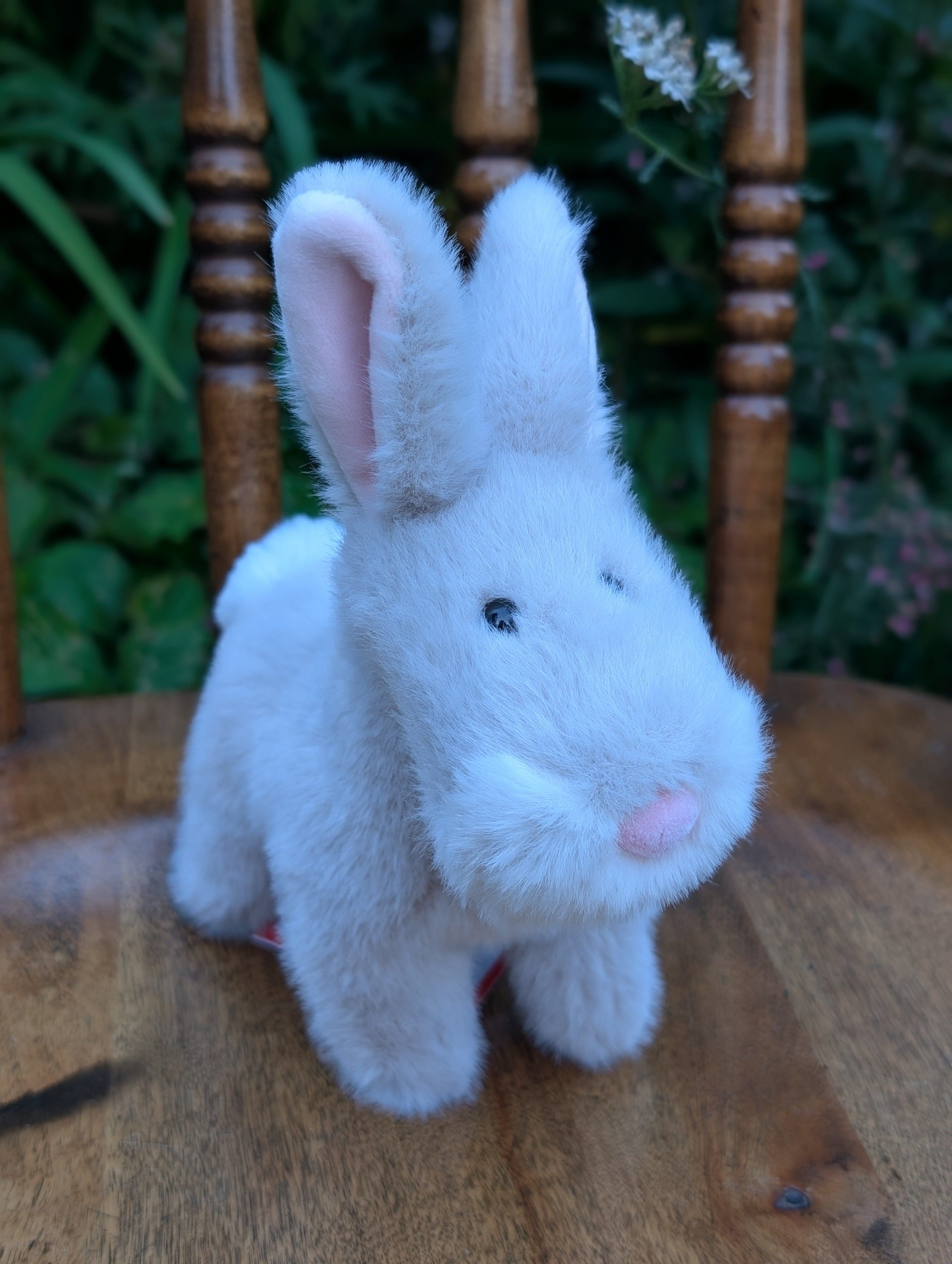 The bunny with the pink nose