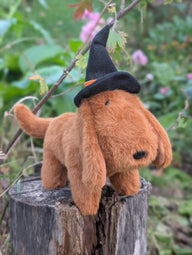 Halloweenie Dachshund Soft Toy