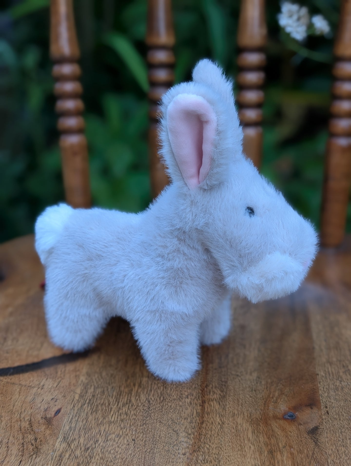 The bunny with the pink nose