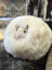 Fat Wooly Rotund Cushion in White Sheepskin
