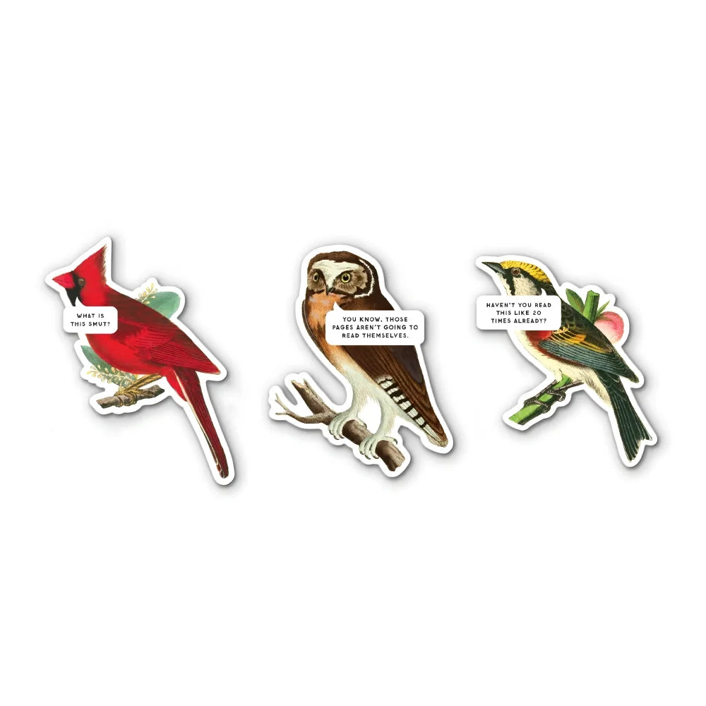 Set of three illustrated bird magnetic bookmarks featuring a red cardinal owl and yellow-headed bird for bookmark set fans