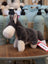 Snuggable wayne the wolf plush gray and white stuffed animal with soft fur standing on wooden surface perfect dachshund toy
