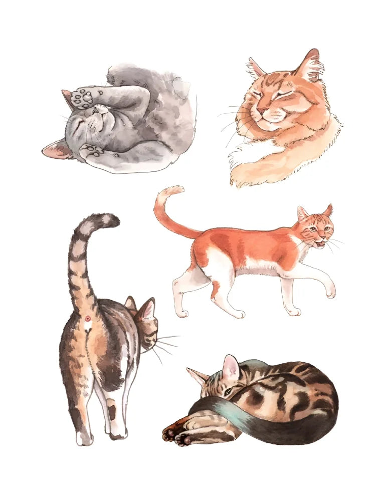 Watercolor illustration of five cats in natural tones featured in the cat’s meow sticker book by megan lynn kott