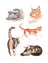 Watercolor illustration of five cats in natural tones featured in the cat’s meow sticker book by megan lynn kott