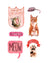 A watercolor sticker book by megan lynn kott featuring an orange tabby cat with white paws sitting upright